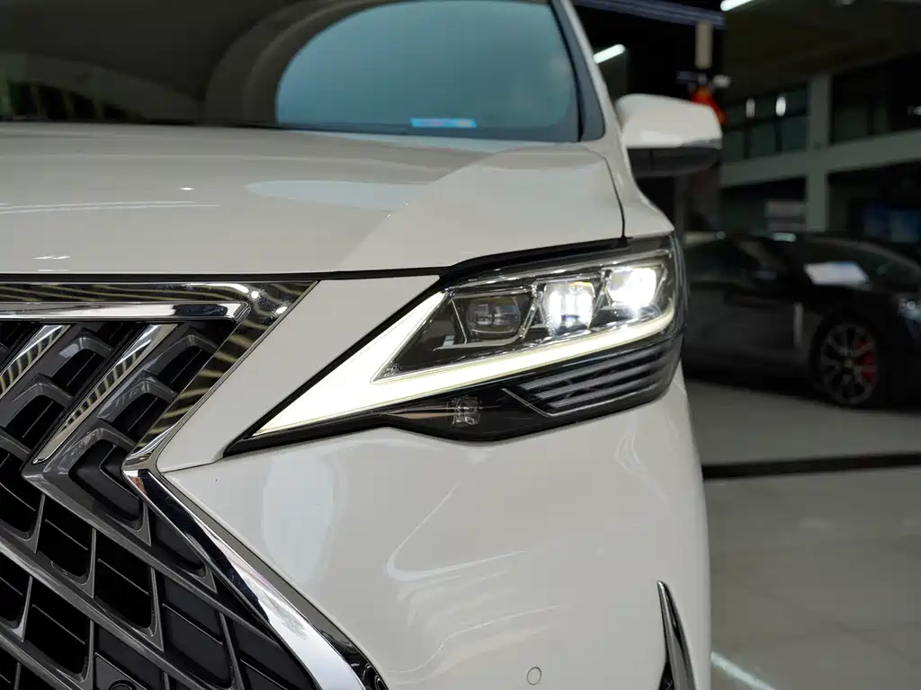 Lexus LM — фото 17