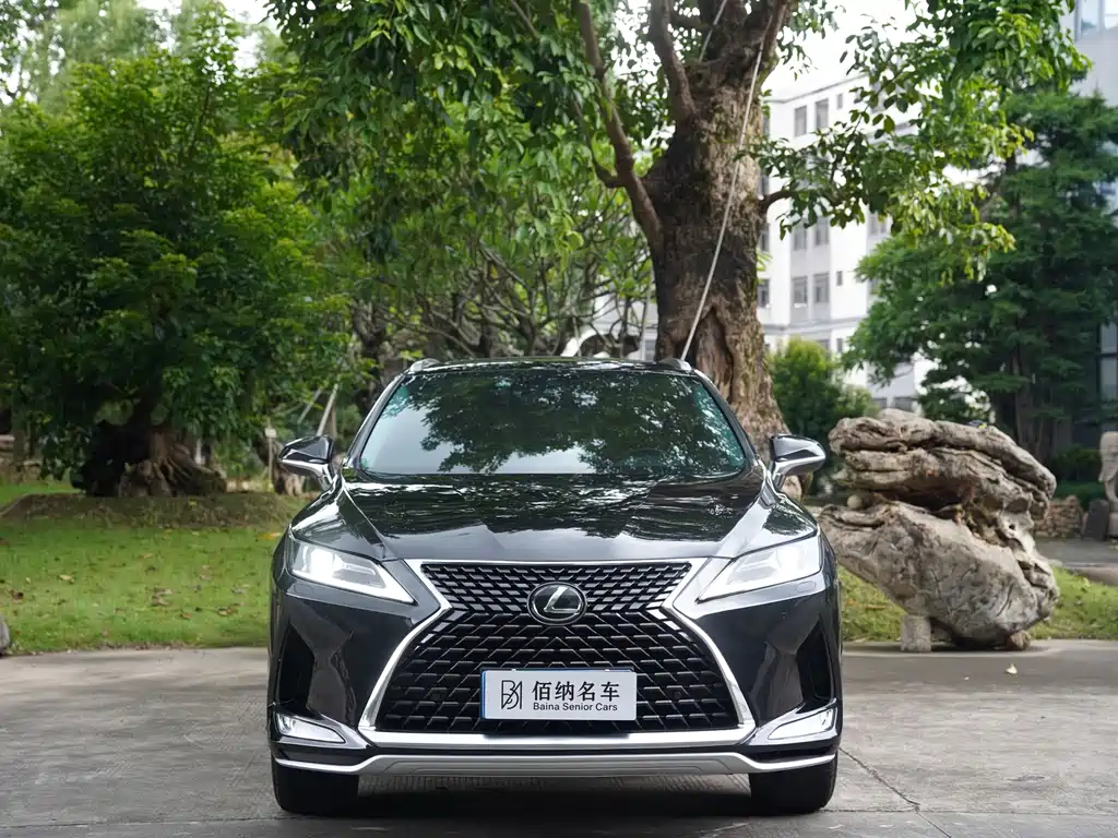 Lexus RX — фото 3