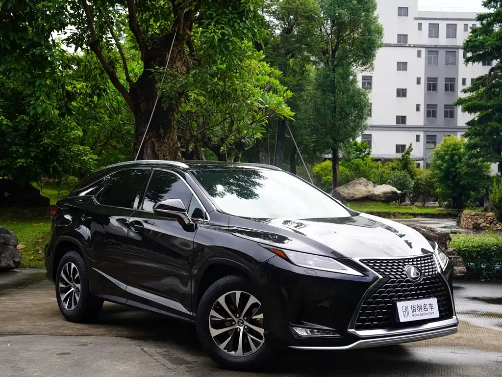 Lexus RX — фото 4