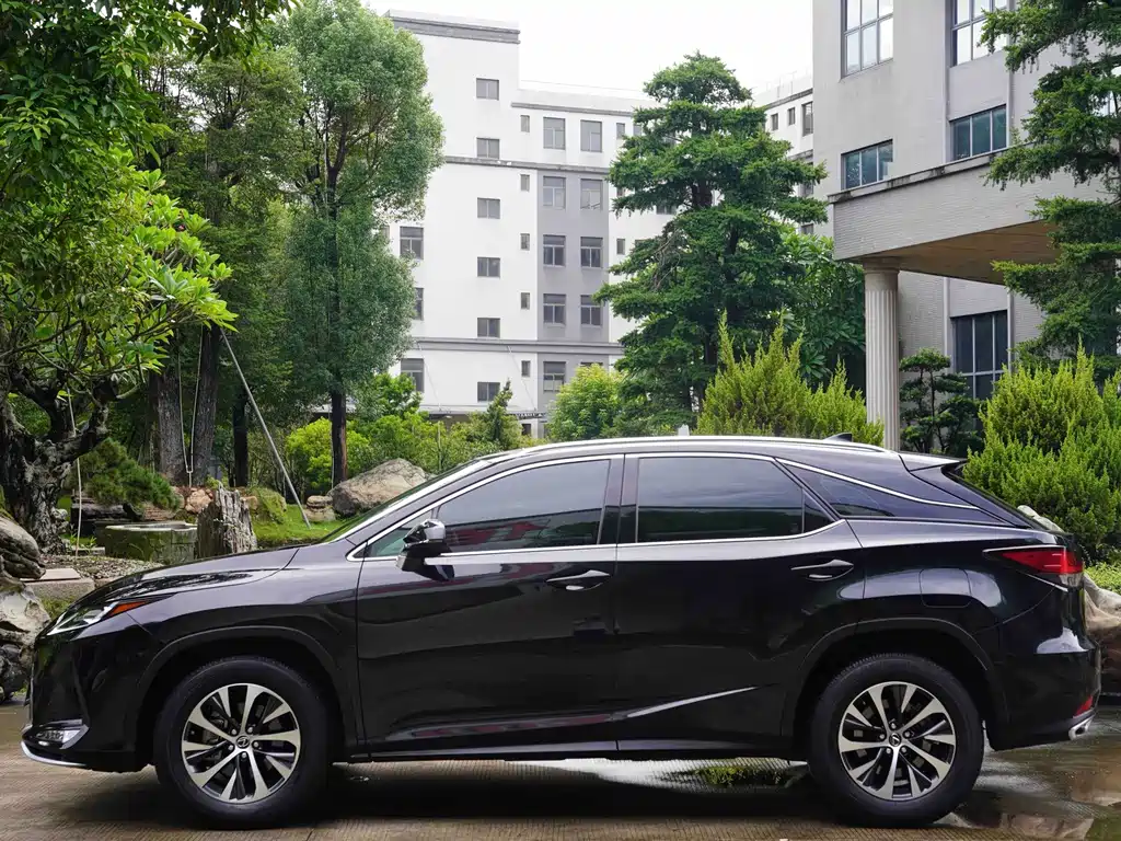 Lexus RX — фото 5