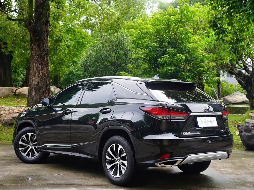 Lexus RX — фото 6