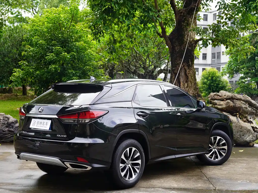 Lexus RX — фото 8