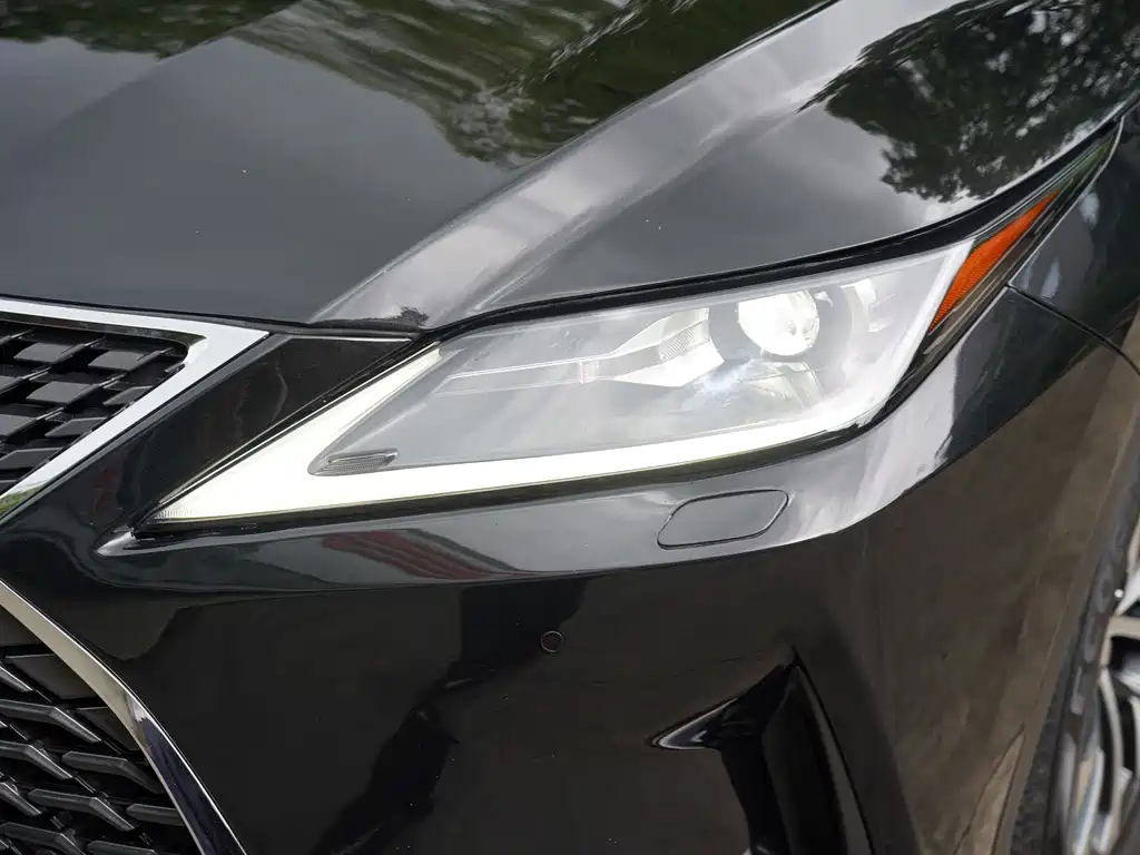 Lexus RX — фото 10
