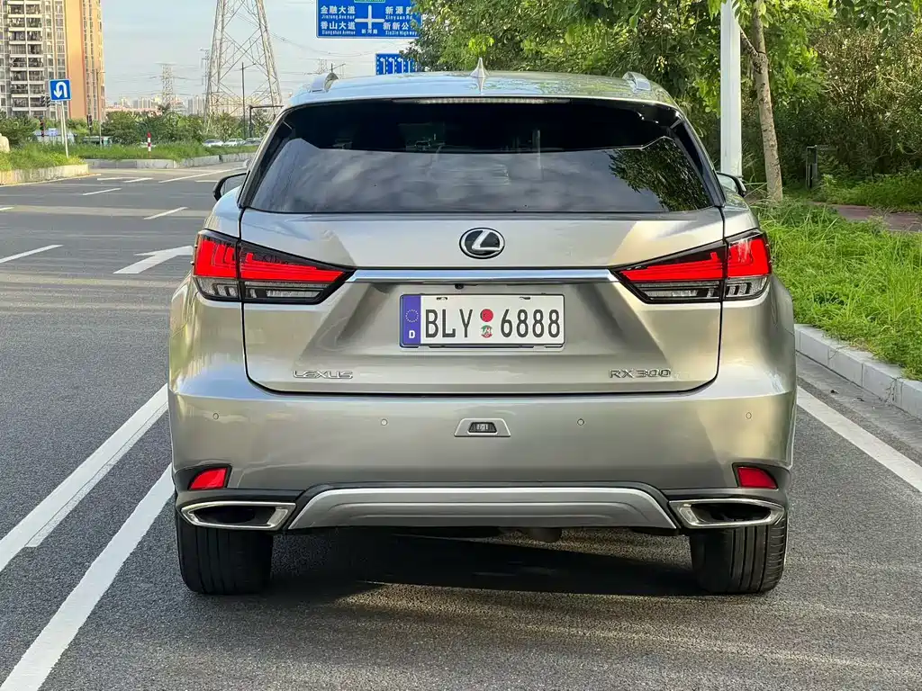Lexus RX — фото 8