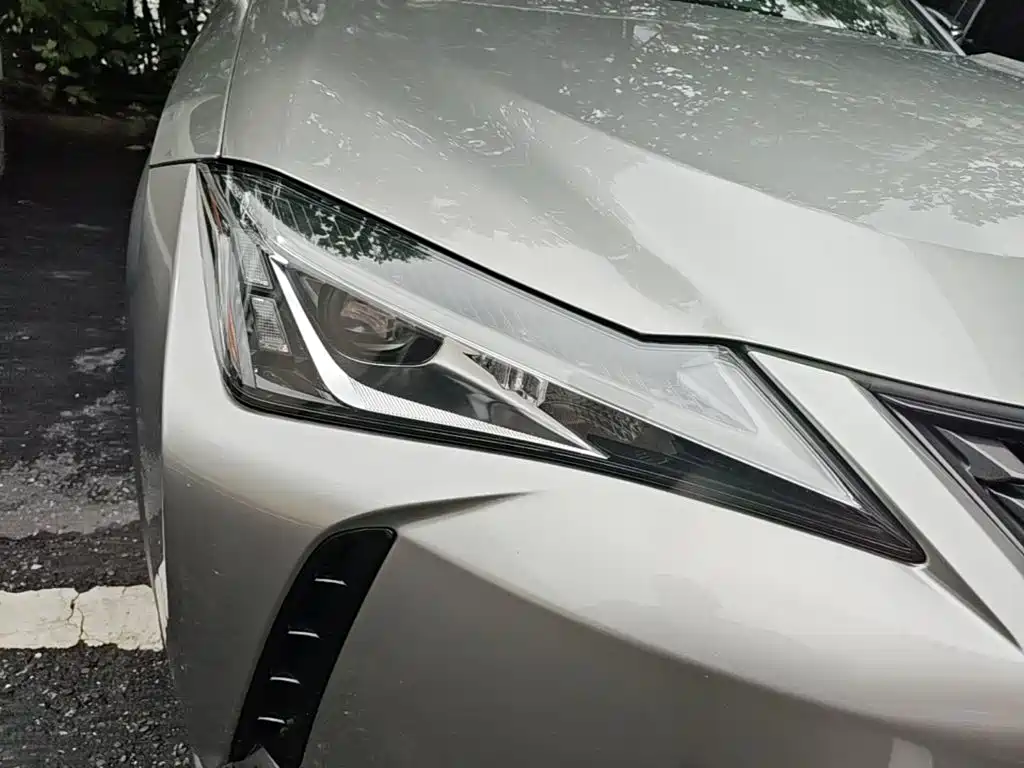 Lexus UX New Energy — фото 11