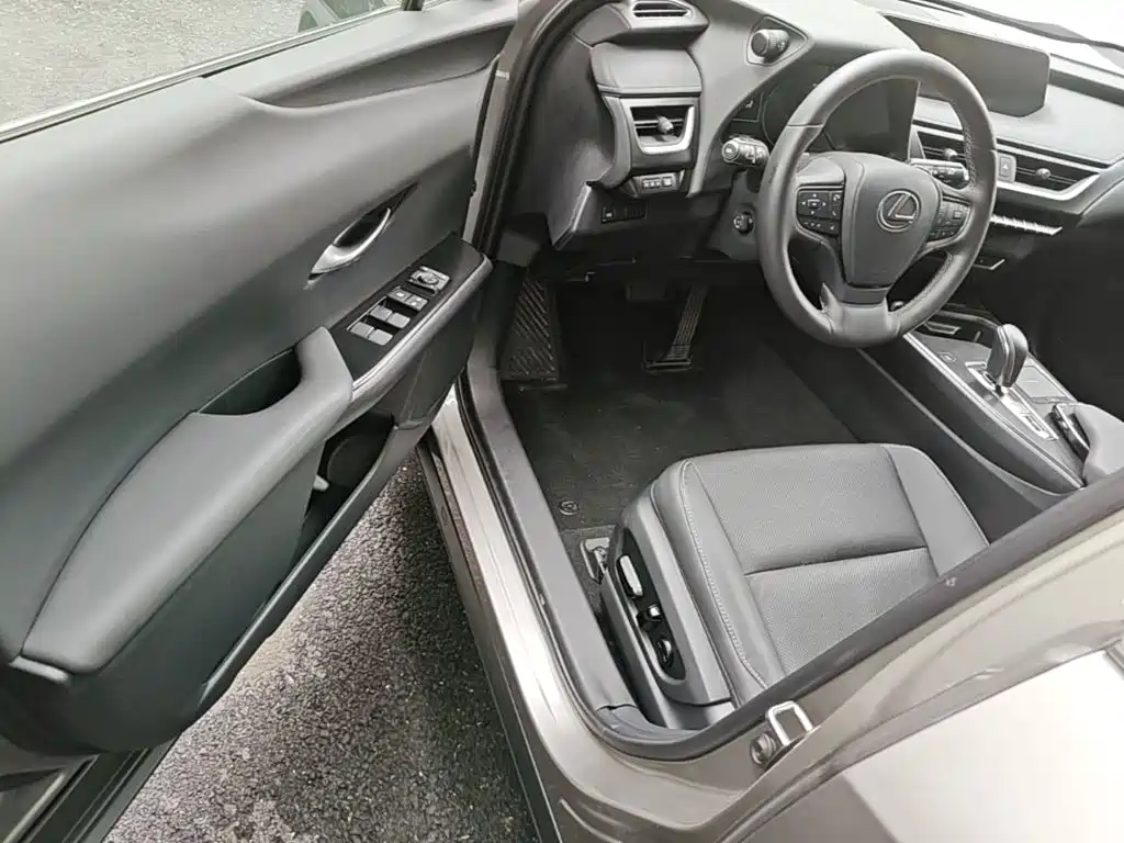 Lexus UX New Energy — фото 21