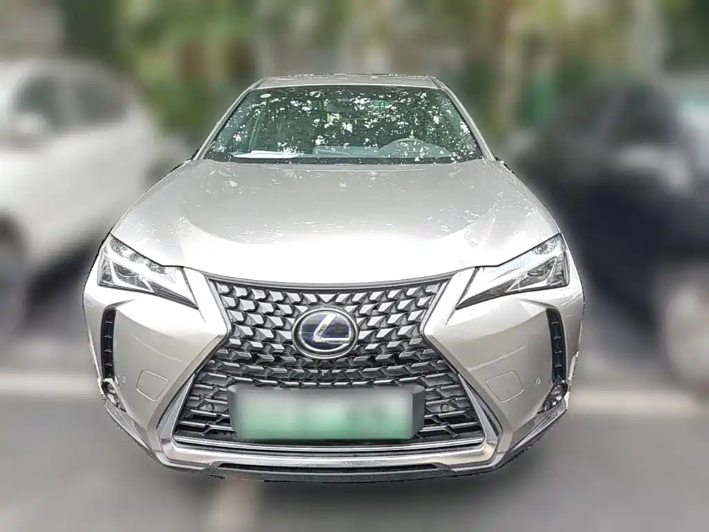 Lexus UX New Energy — фото 5