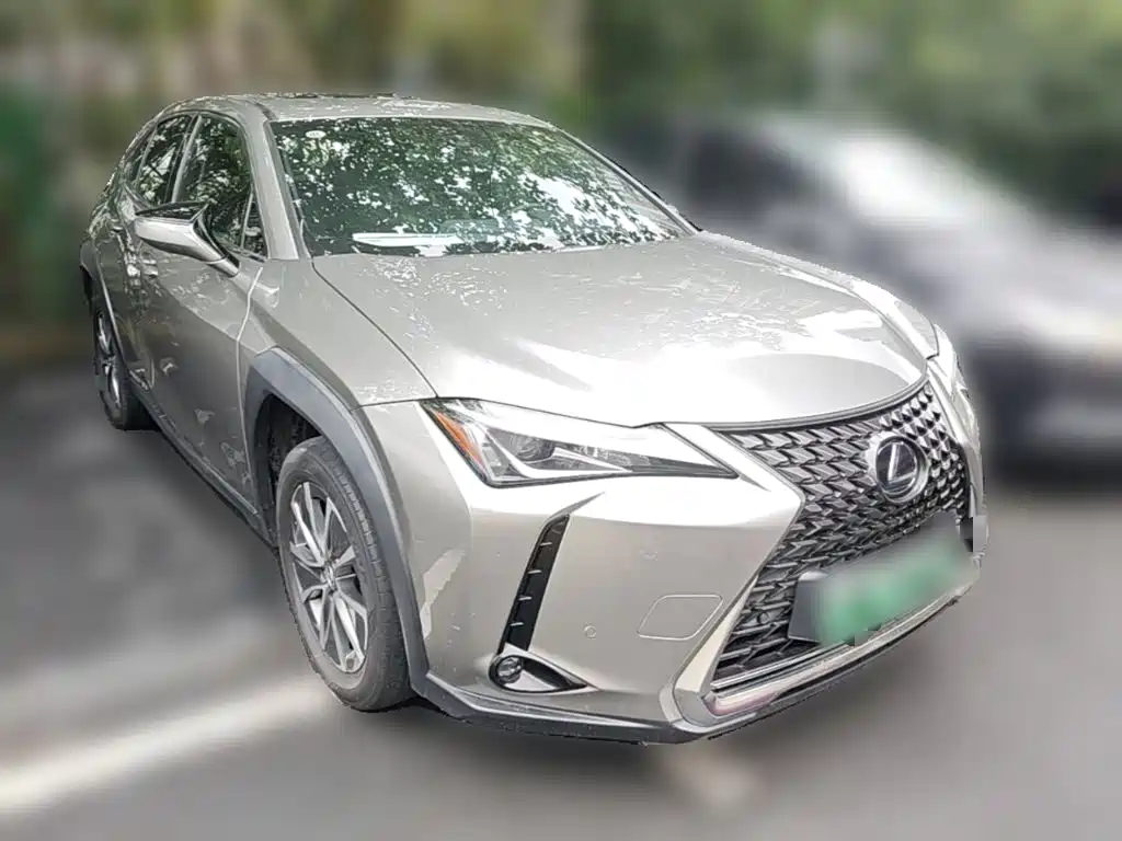Lexus UX New Energy — фото 6