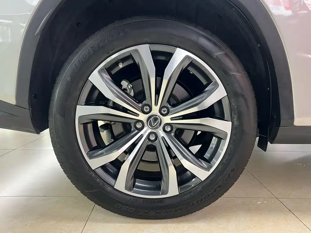 Lexus RX — фото 30