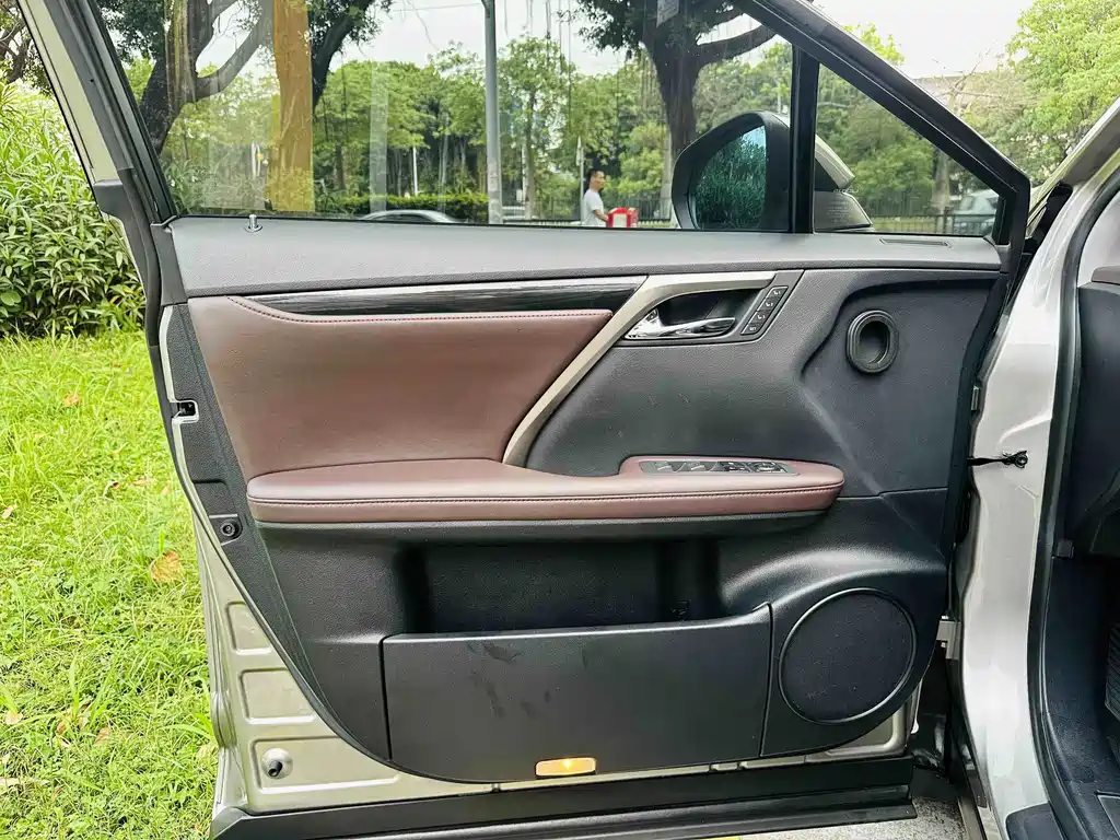 Lexus RX — фото 16