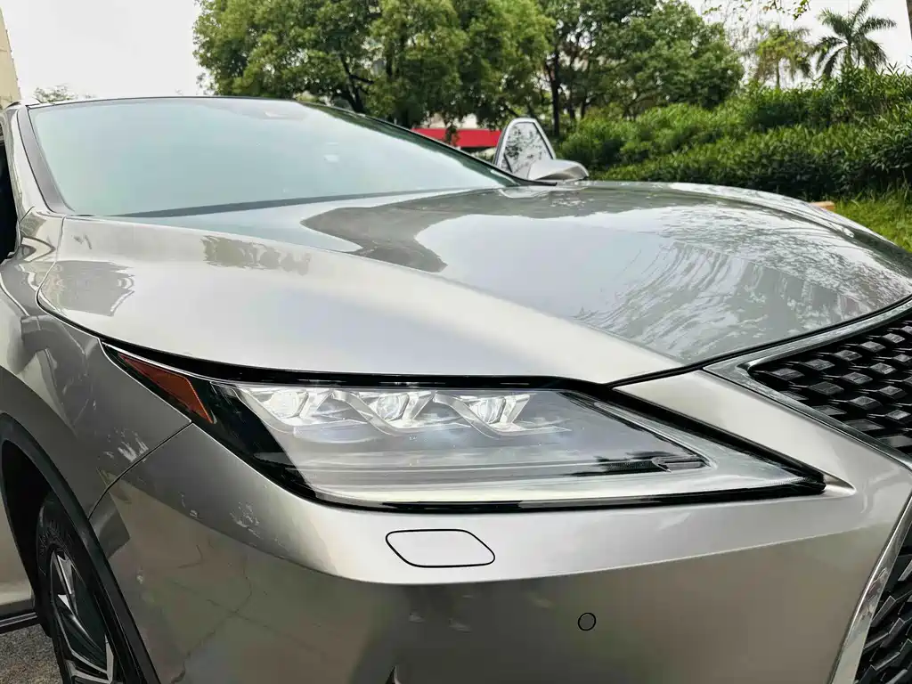 Lexus RX — фото 17
