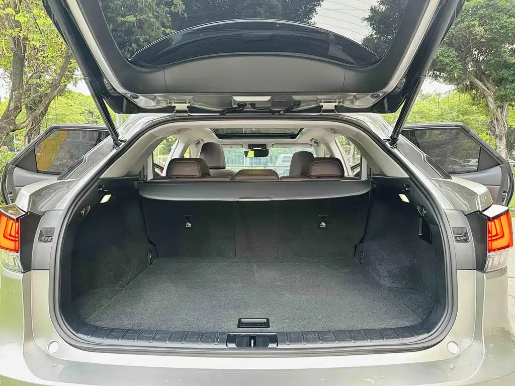 Lexus RX — фото 18