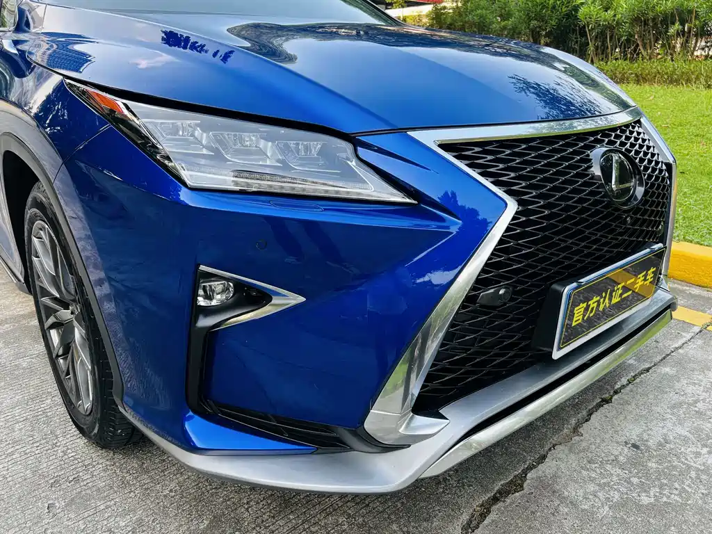 Lexus RX — фото 19