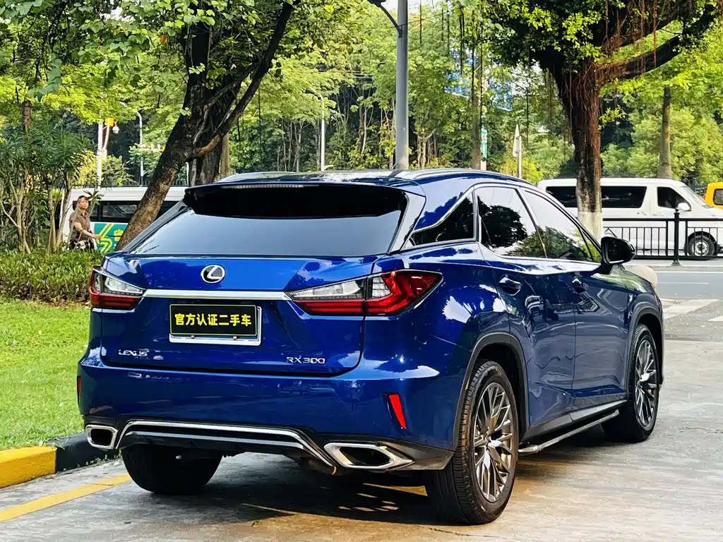 Lexus RX — фото 7