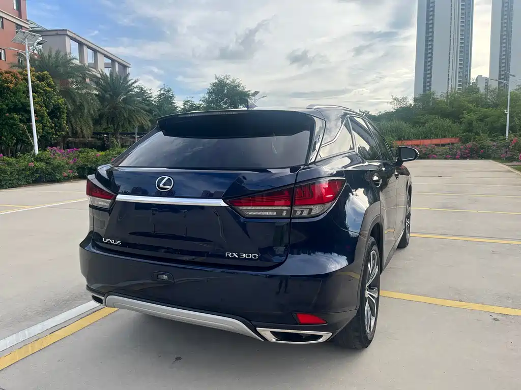 Lexus RX — фото 5