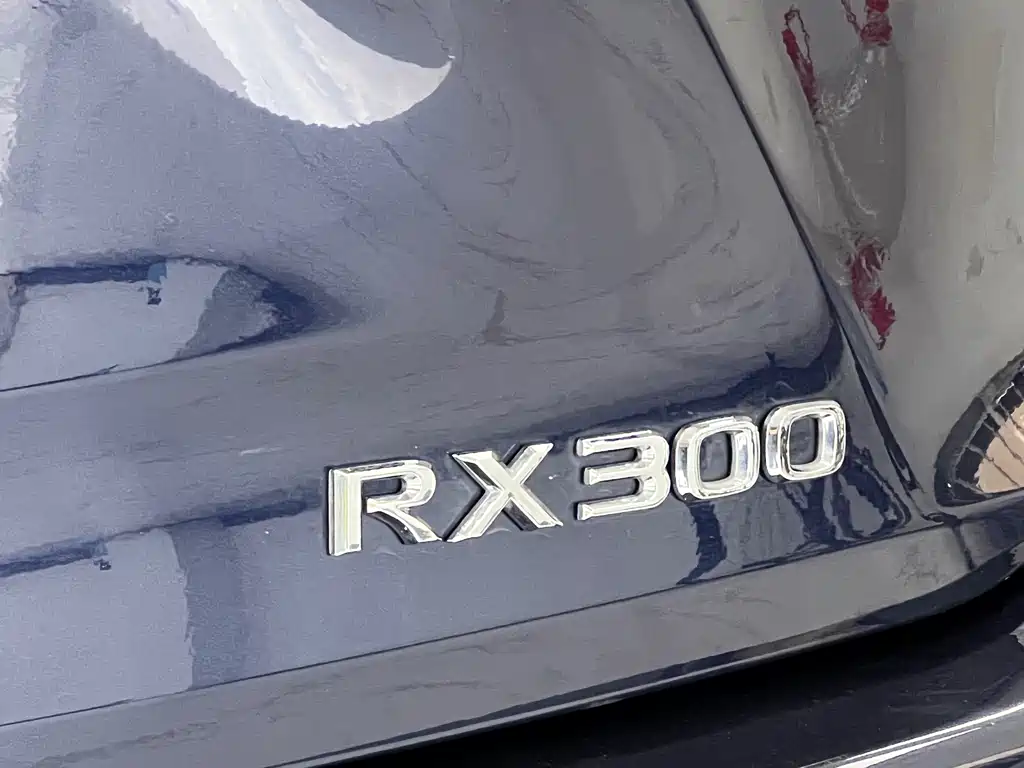 Lexus RX — фото 19