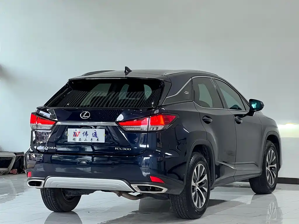 Lexus RX — фото 21