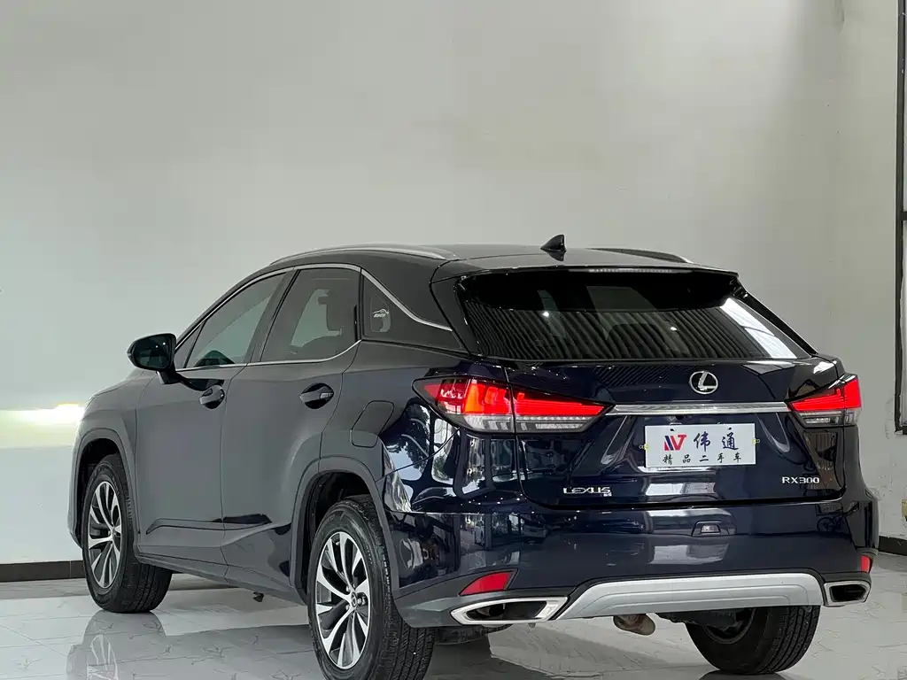 Lexus RX — фото 22