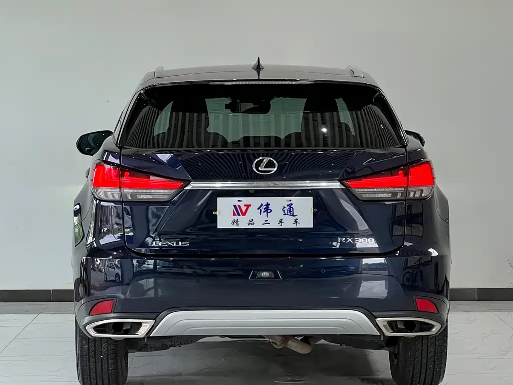 Lexus RX — фото 23