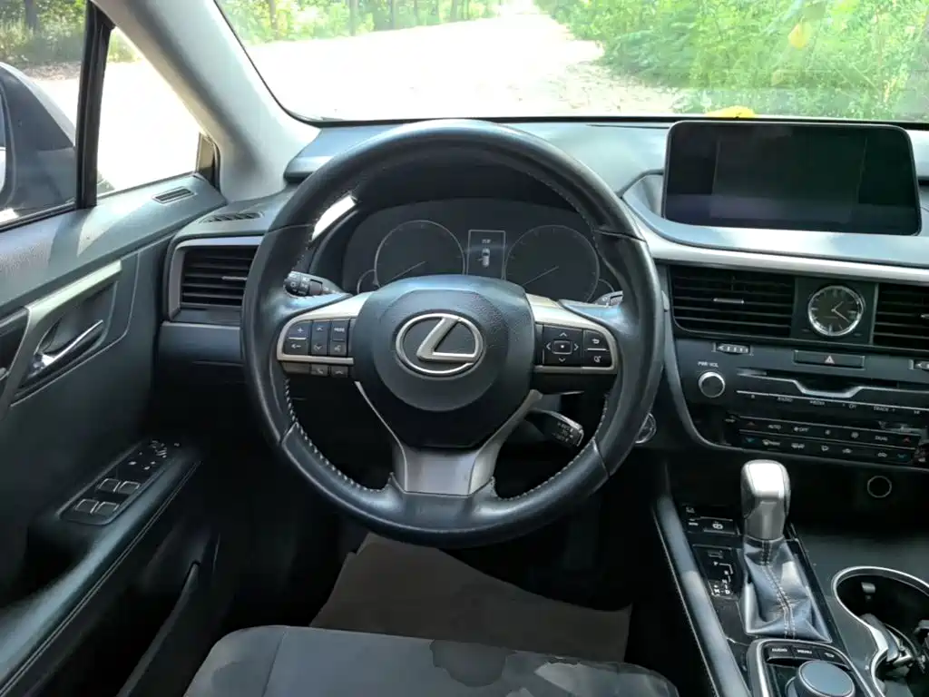 Lexus RX — фото 11