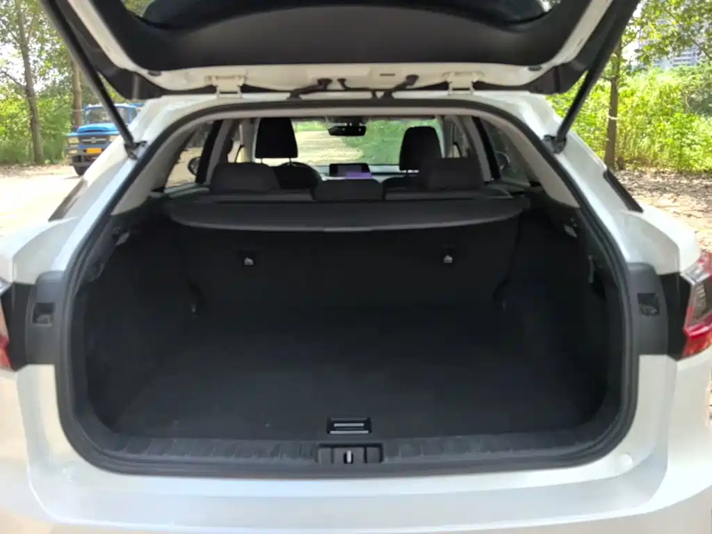 Lexus RX — фото 19