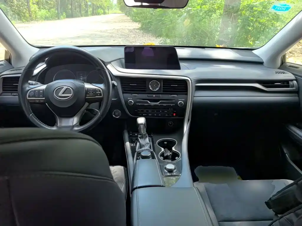 Lexus RX — фото 10
