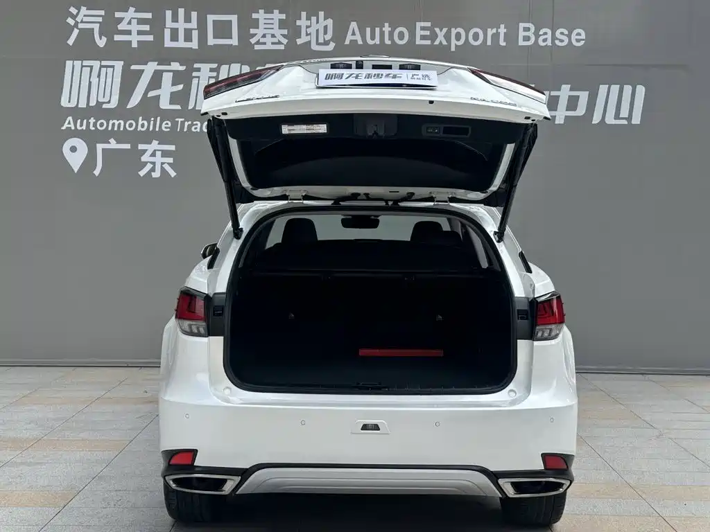Lexus RX — фото 14