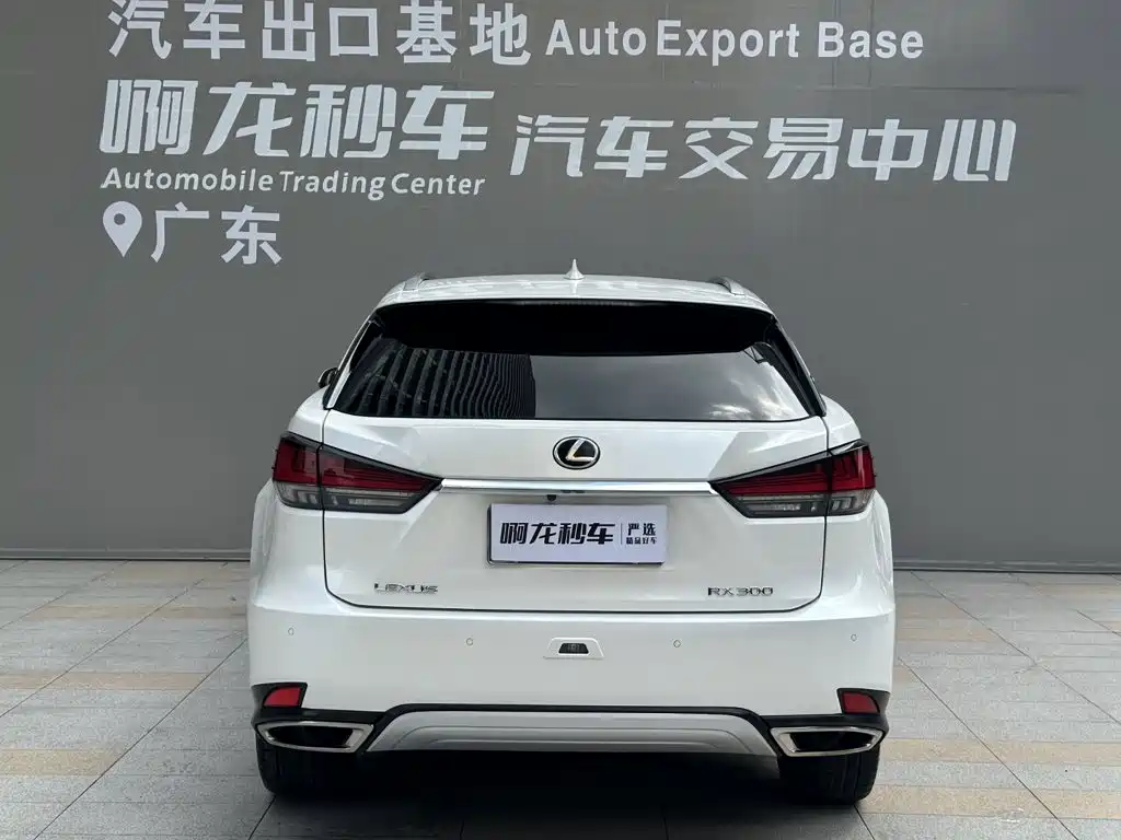 Lexus RX — фото 4