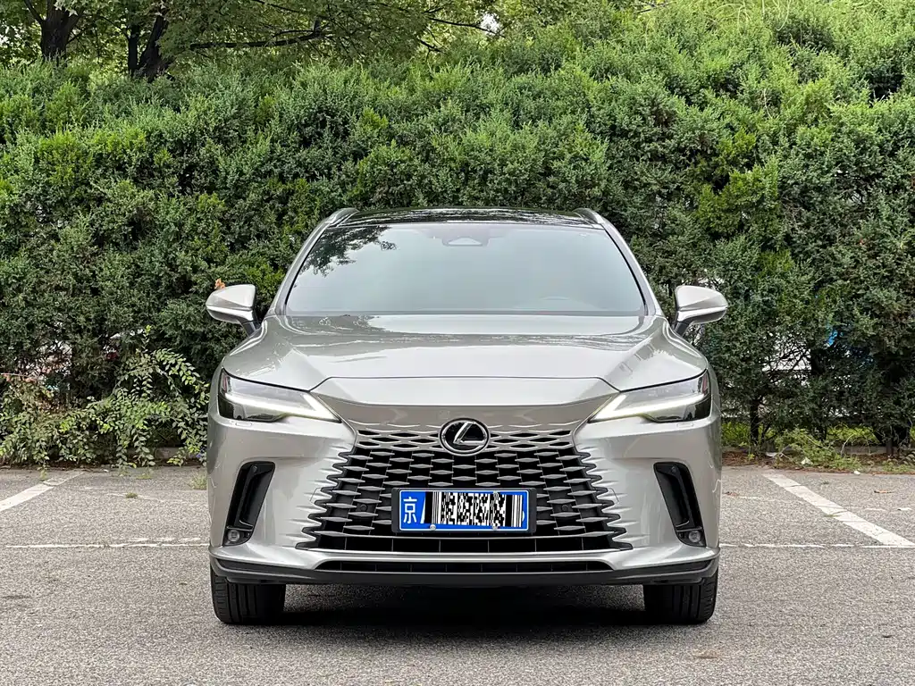 Lexus RX — фото 2