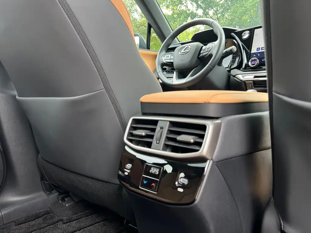 Lexus RX — фото 11