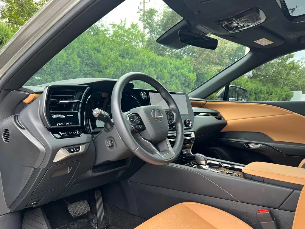 Lexus RX — фото 17