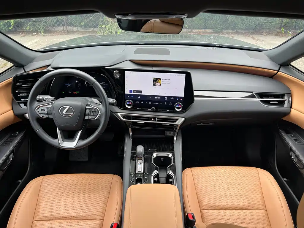 Lexus RX — фото 18