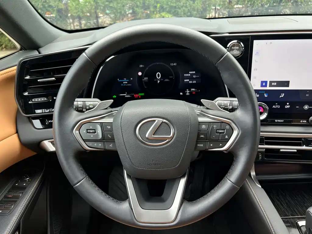 Lexus RX — фото 19