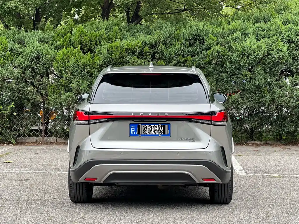 Lexus RX — фото 31