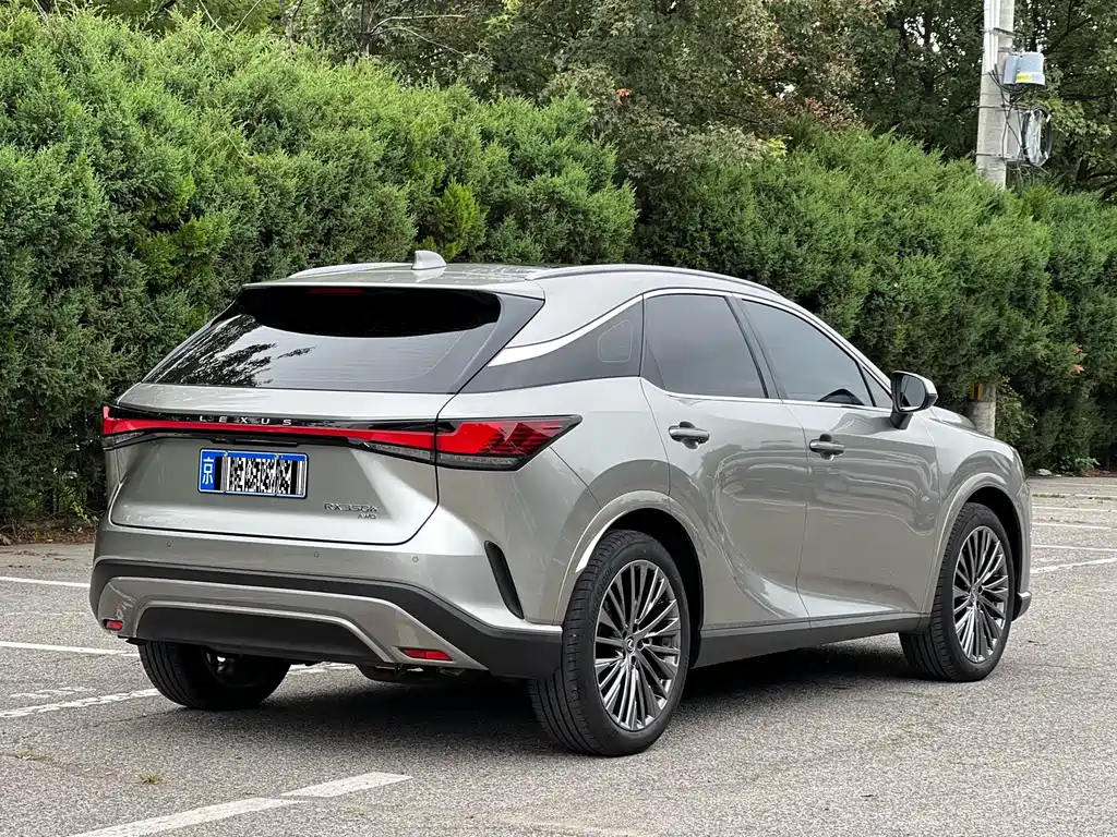 Lexus RX — фото 32