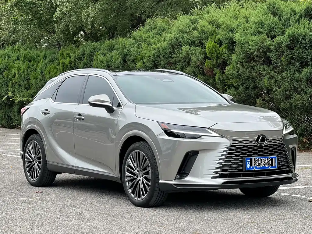 Lexus RX — фото 5