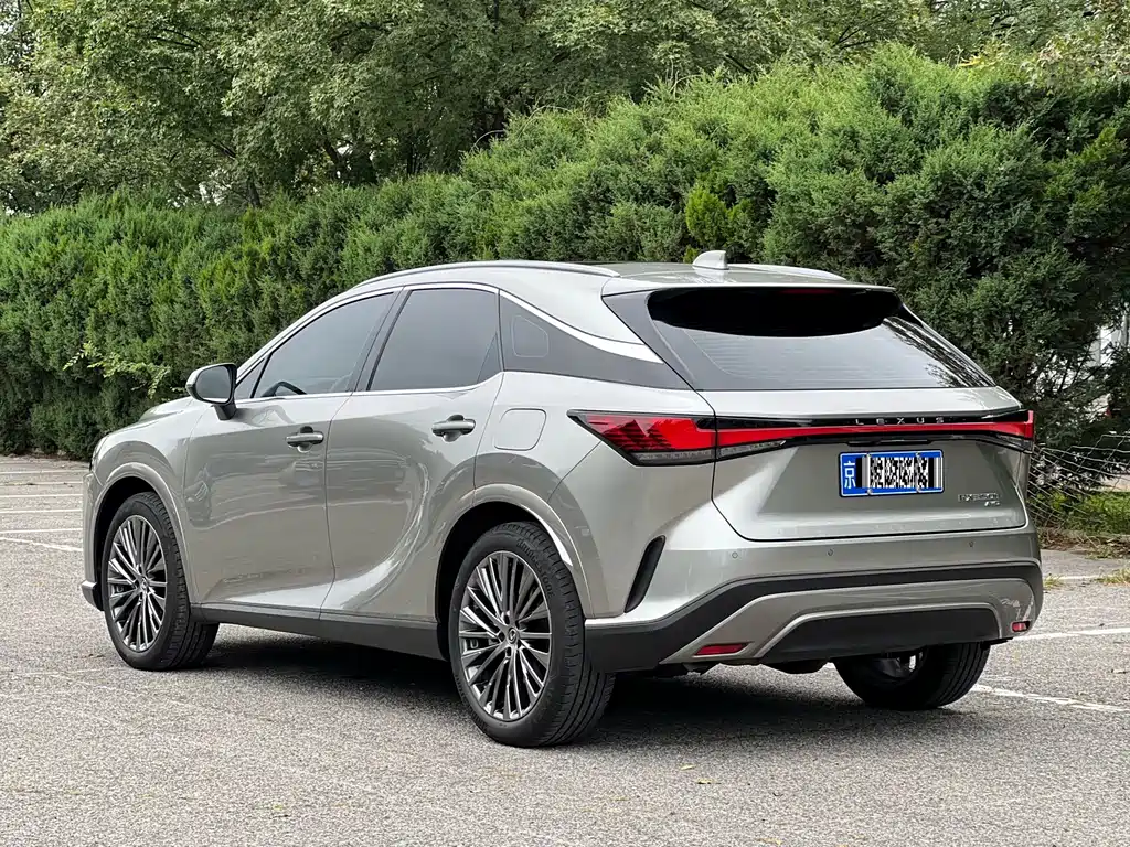 Lexus RX — фото 6
