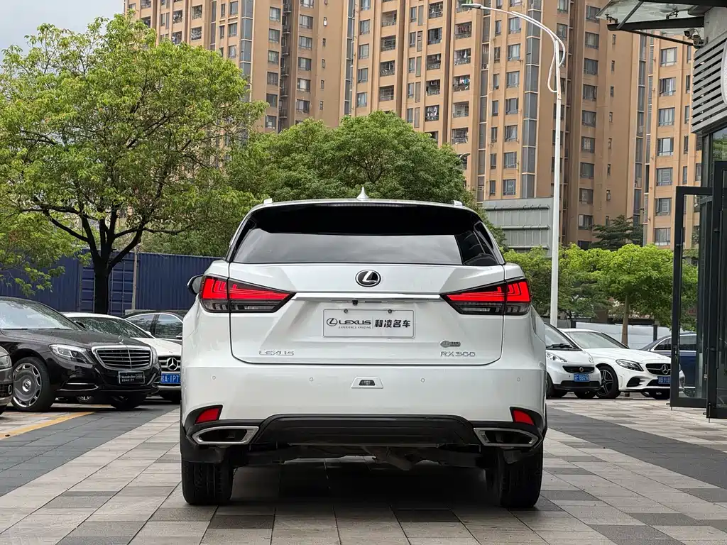 Lexus RX — фото 5