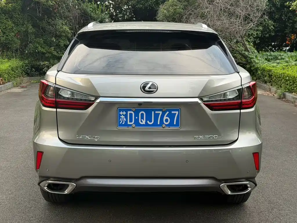 Lexus RX — фото 8