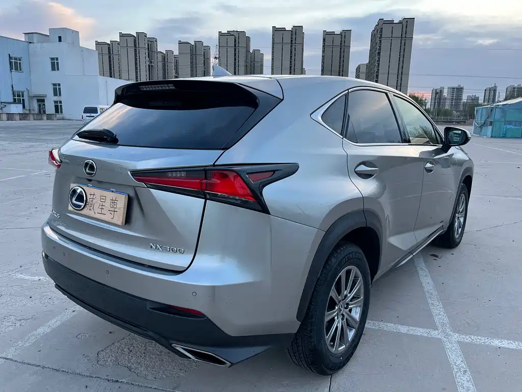 Lexus NX — фото 6
