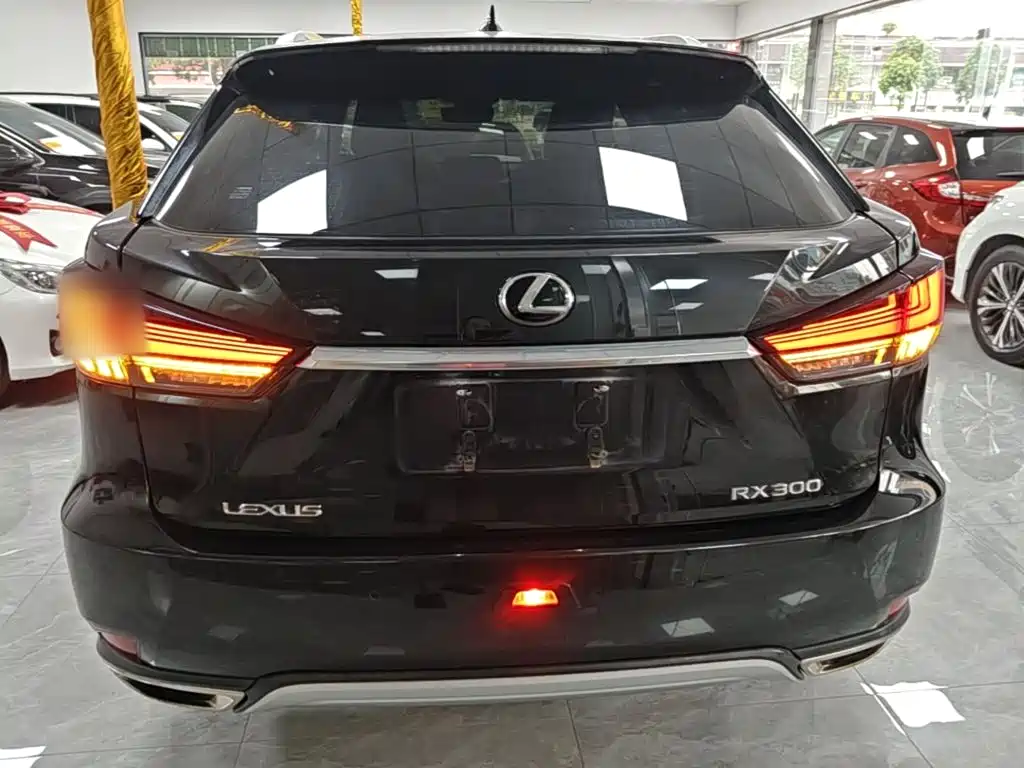 Lexus RX — фото 6