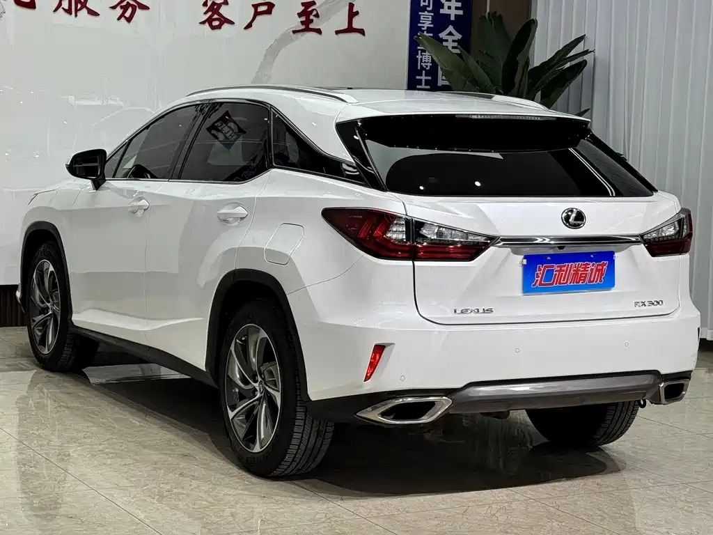 Lexus RX — фото 6