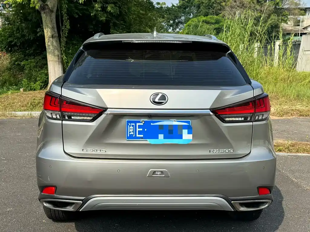 Lexus RX — фото 8