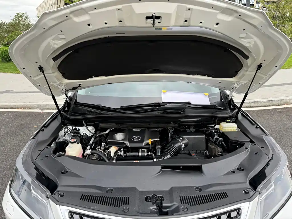 Lexus RX — фото 18