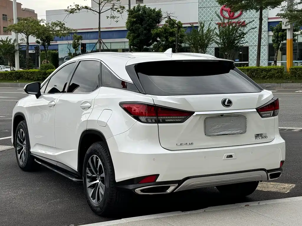 Lexus RX — фото 20