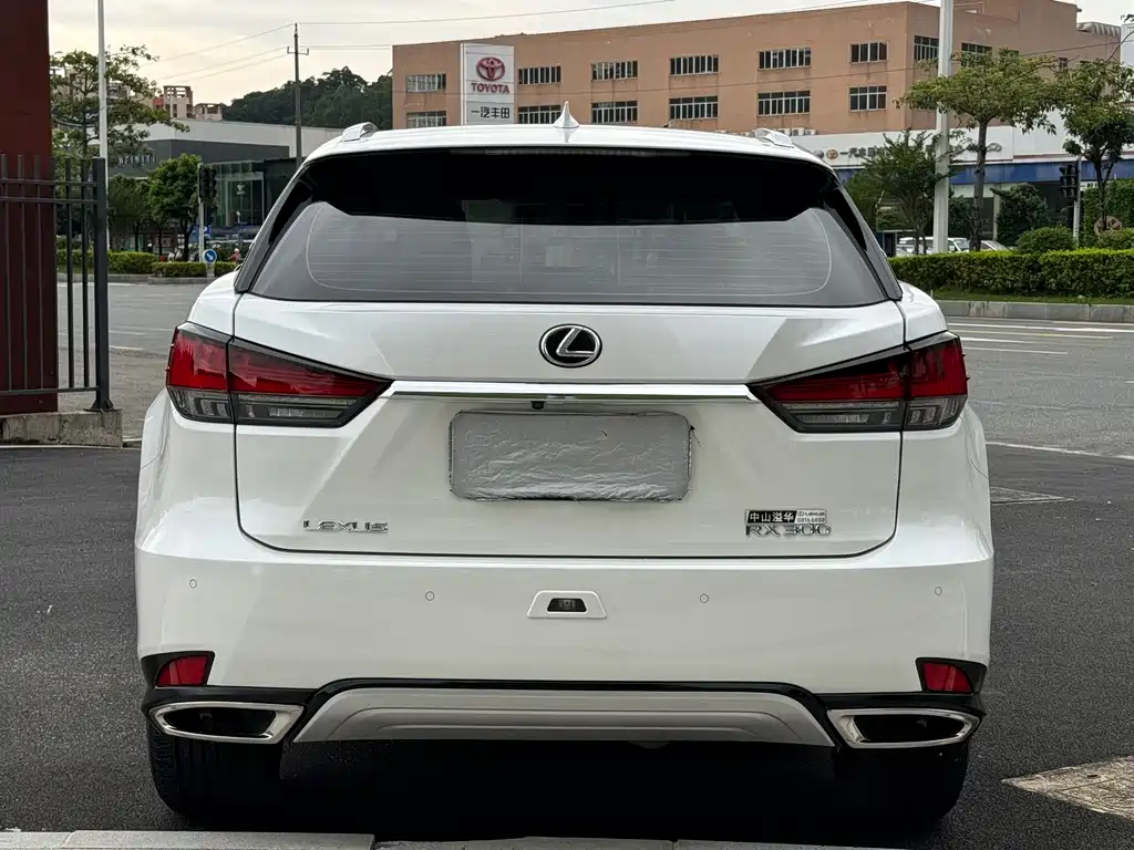 Lexus RX — фото 21