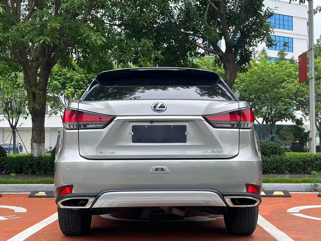 Lexus RX — фото 8