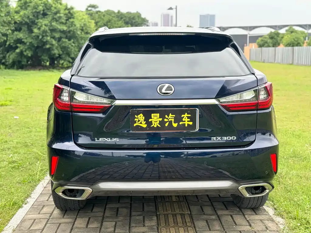 Lexus RX — фото 4