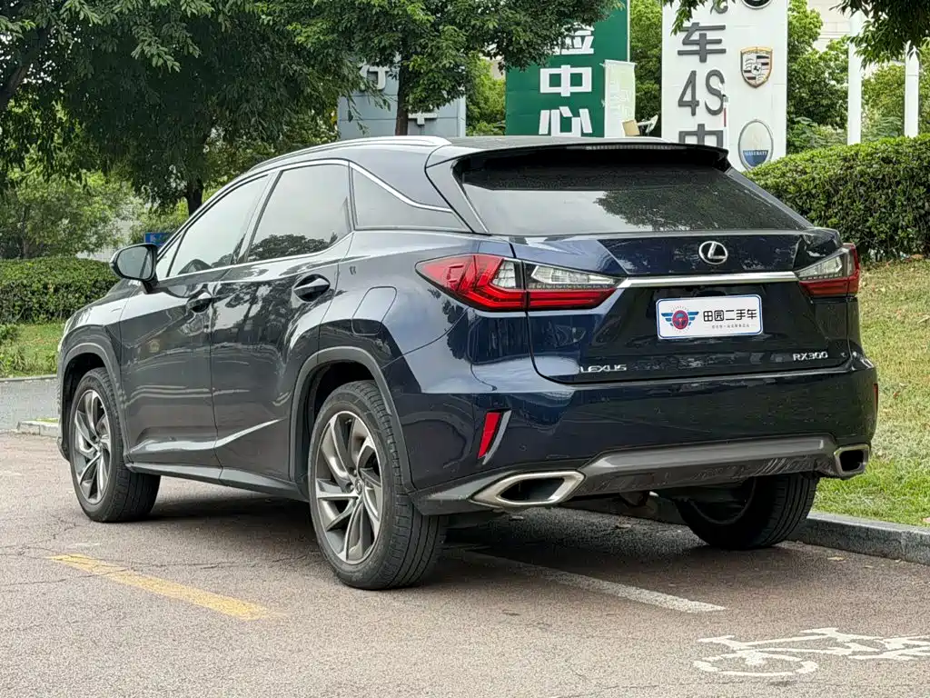 Lexus RX — фото 4