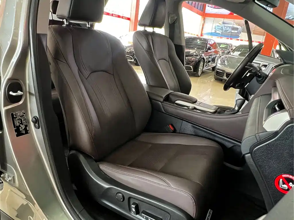Lexus RX — фото 13